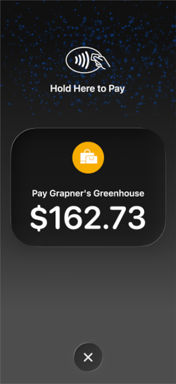 Hold to pay on iPhone