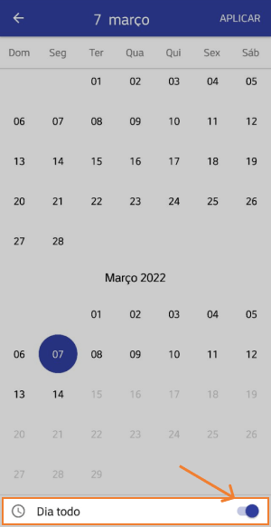 opção 'Dia todo'