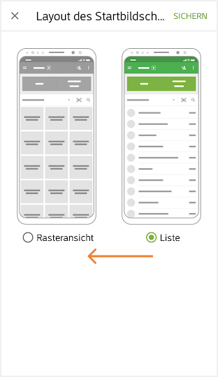 Option Rasteransicht