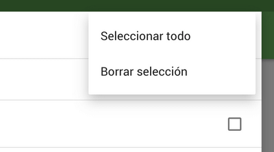 Opción 'Seleccionar todo'